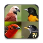 Logo of Birds Encyclopedia Offline App android Application 