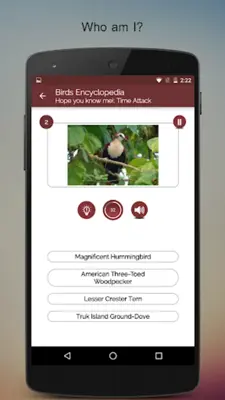 Birds Encyclopedia Offline App android App screenshot 10