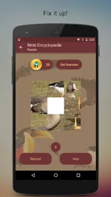 Birds Encyclopedia Offline App android App screenshot 11