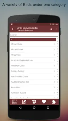 Birds Encyclopedia Offline App android App screenshot 13