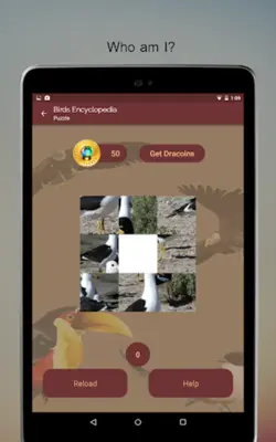 Birds Encyclopedia Offline App android App screenshot 2
