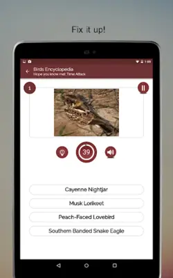 Birds Encyclopedia Offline App android App screenshot 3