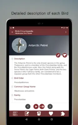 Birds Encyclopedia Offline App android App screenshot 4