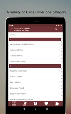 Birds Encyclopedia Offline App android App screenshot 5