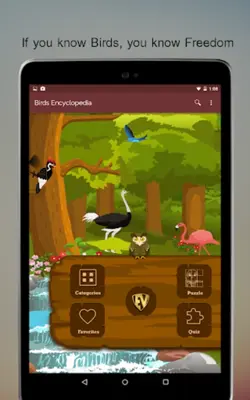 Birds Encyclopedia Offline App android App screenshot 7